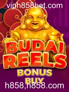 Descubra o Mundo de Emoções em BudaiReelsBonusBuy