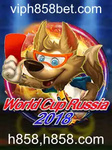 Explorando o Universo do Jogo WorldCupRussia2018 e a Palavra-Chave h858